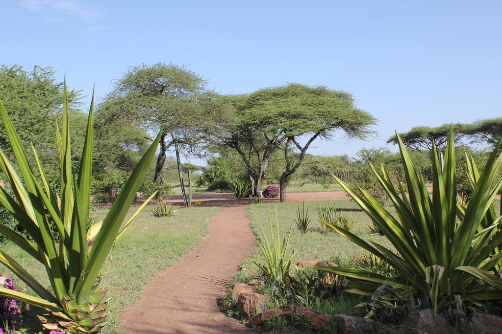 Mapito Tented Camp Serengeti Luaran gambar