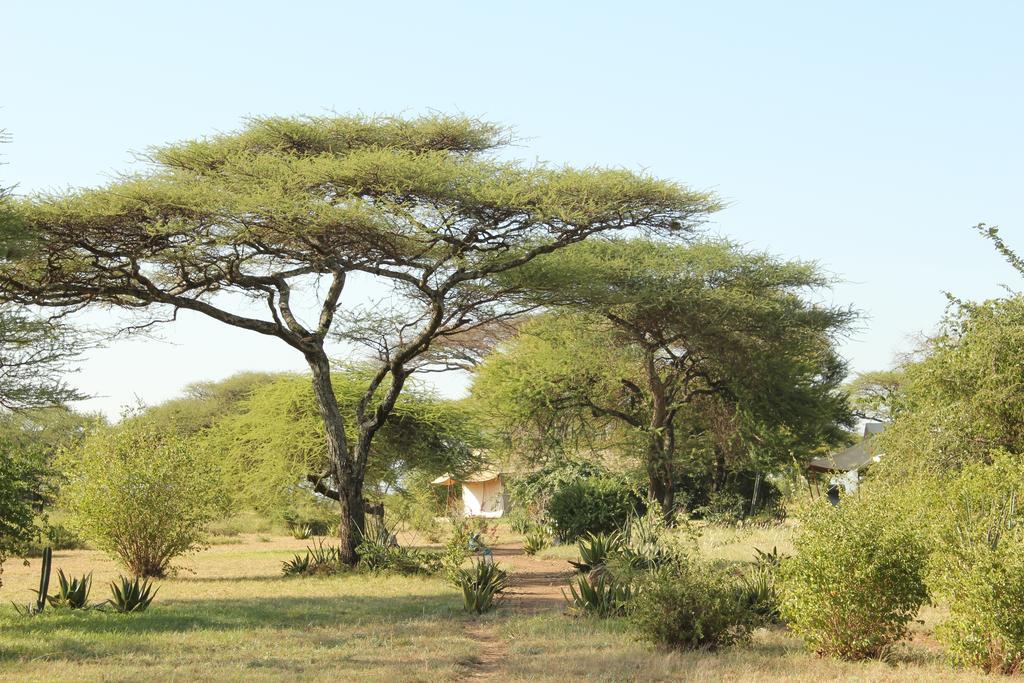 Mapito Tented Camp Serengeti Luaran gambar